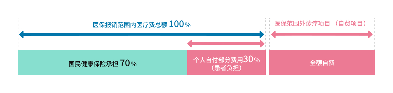 显示日本保险诊疗和保险外诊疗费用负担的图表。在保险对象医疗费总额100%中，分为国民健康保险负担70%和部分负担金30%（患者负担）。保险外诊疗则全额自费。