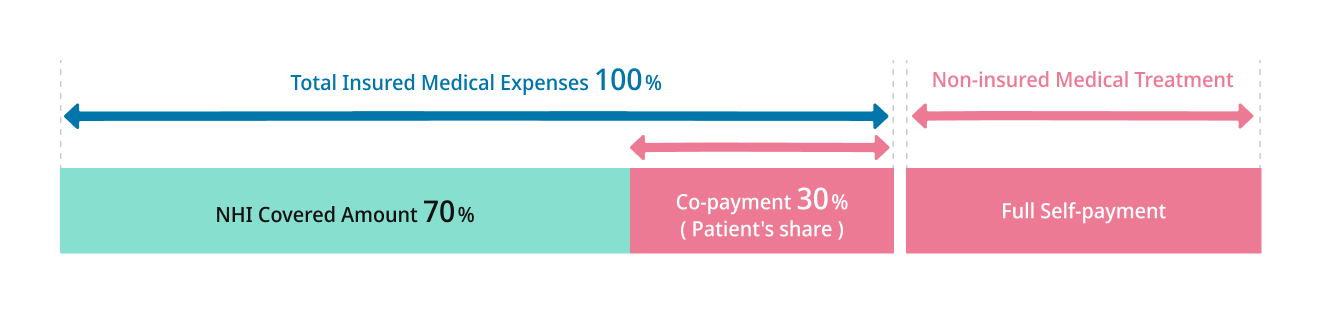 Japan's Medical Cost Structure. Covered medical care (National Health Insurance covers 70%, patient pays 30%) vs. Non-covered medical care (patient pays 100% out of pocket).